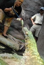 Chiricahua Desert Museum and ABQ Bio Park