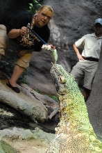 Chiricahua Desert Museum and ABQ Bio Park