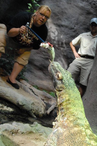 Chiricahua Desert Museum and ABQ Bio Park