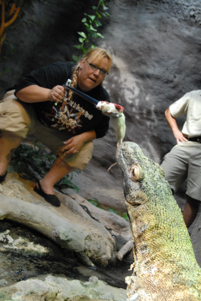 Chiricahua Desert Museum and ABQ Bio Park