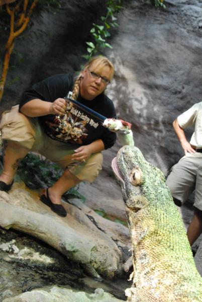 Chiricahua Desert Museum and ABQ Bio Park