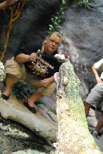 Chiricahua Desert Museum and ABQ Bio Park