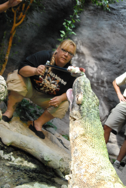 Chiricahua Desert Museum and ABQ Bio Park