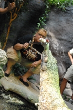 Chiricahua Desert Museum and ABQ Bio Park