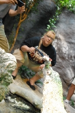 Chiricahua Desert Museum and ABQ Bio Park