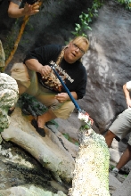 Chiricahua Desert Museum and ABQ Bio Park