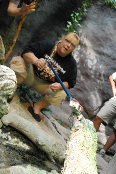 Chiricahua Desert Museum and ABQ Bio Park