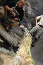Chiricahua Desert Museum and ABQ Bio Park