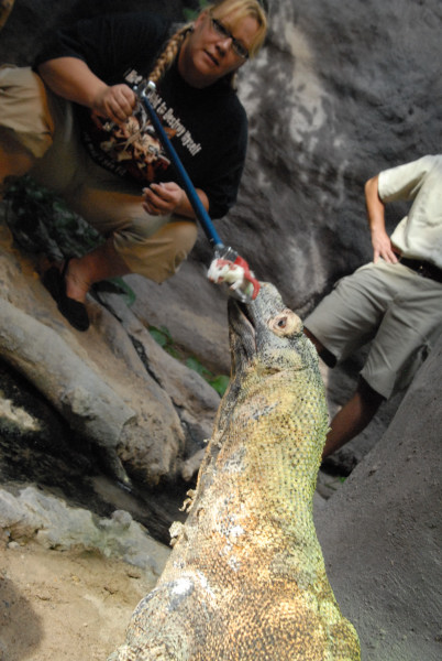 Chiricahua Desert Museum and ABQ Bio Park