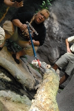 Chiricahua Desert Museum and ABQ Bio Park