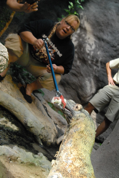 Chiricahua Desert Museum and ABQ Bio Park