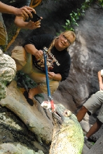 Chiricahua Desert Museum and ABQ Bio Park