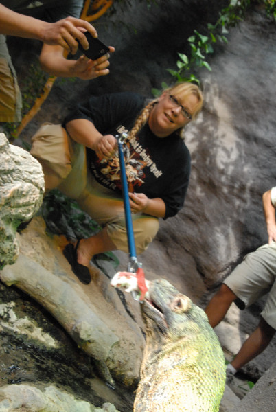 Chiricahua Desert Museum and ABQ Bio Park