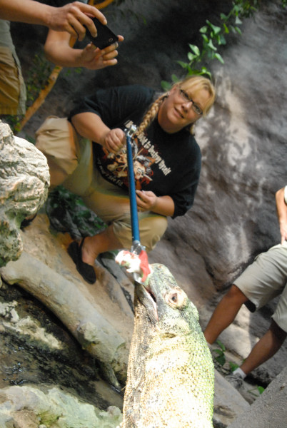 Chiricahua Desert Museum and ABQ Bio Park