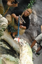 Chiricahua Desert Museum and ABQ Bio Park