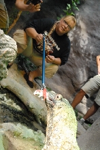 Chiricahua Desert Museum and ABQ Bio Park