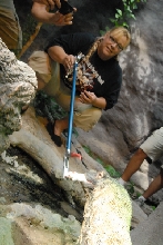 Chiricahua Desert Museum and ABQ Bio Park