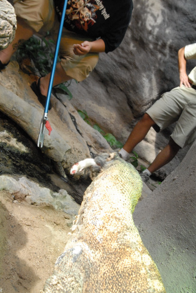 Chiricahua Desert Museum and ABQ Bio Park