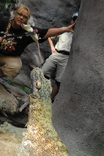 Chiricahua Desert Museum and ABQ Bio Park