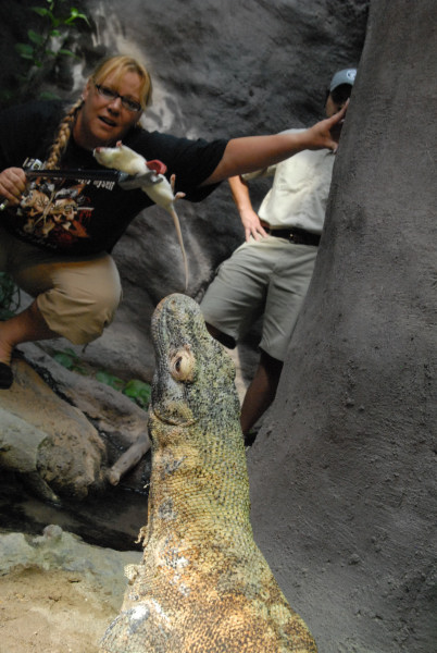 Chiricahua Desert Museum and ABQ Bio Park