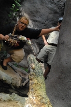 Chiricahua Desert Museum and ABQ Bio Park