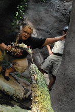 Chiricahua Desert Museum and ABQ Bio Park
