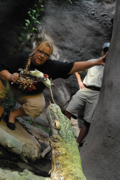 Chiricahua Desert Museum and ABQ Bio Park
