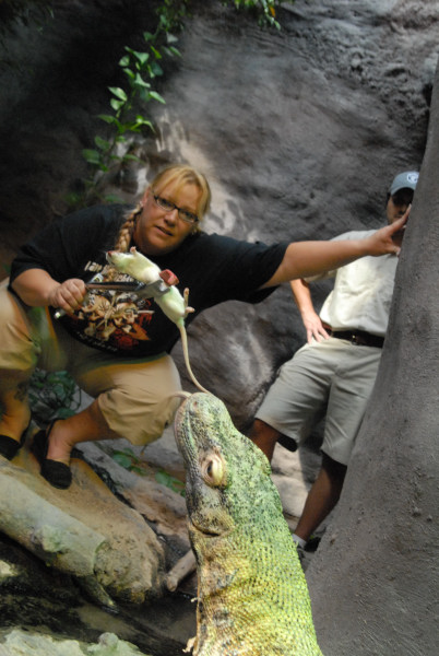 Chiricahua Desert Museum and ABQ Bio Park