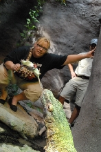 Chiricahua Desert Museum and ABQ Bio Park
