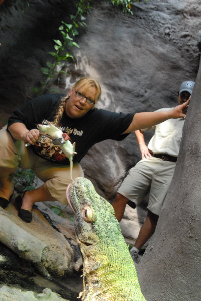 Chiricahua Desert Museum and ABQ Bio Park