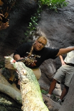 Chiricahua Desert Museum and ABQ Bio Park