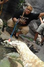 Chiricahua Desert Museum and ABQ Bio Park