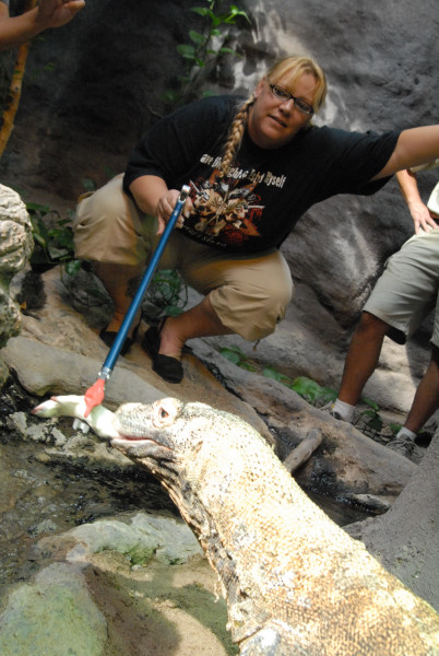 Chiricahua Desert Museum and ABQ Bio Park