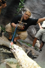 Chiricahua Desert Museum and ABQ Bio Park
