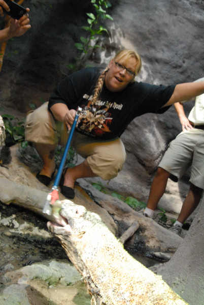 Chiricahua Desert Museum and ABQ Bio Park
