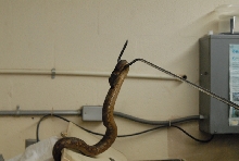 Chiricahua Desert Museum and ABQ Bio Park