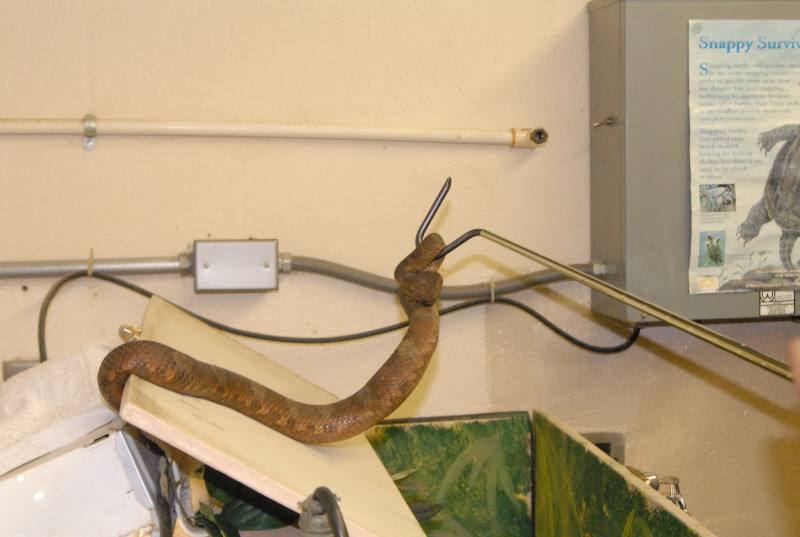 Chiricahua Desert Museum and ABQ Bio Park