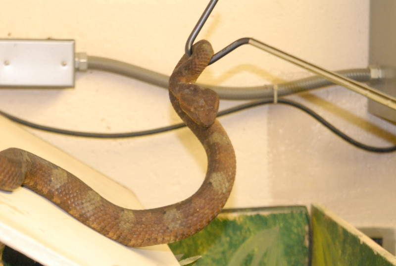 Chiricahua Desert Museum and ABQ Bio Park