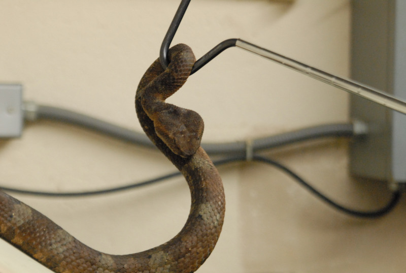 Chiricahua Desert Museum and ABQ Bio Park