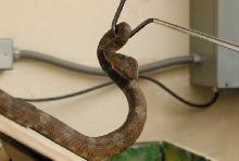 Chiricahua Desert Museum and ABQ Bio Park