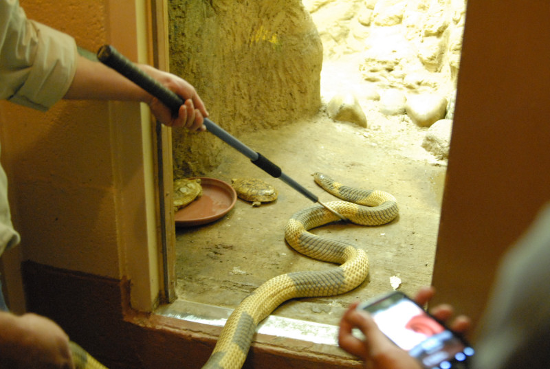 Chiricahua Desert Museum and ABQ Bio Park