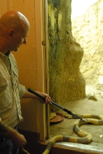 Chiricahua Desert Museum and ABQ Bio Park