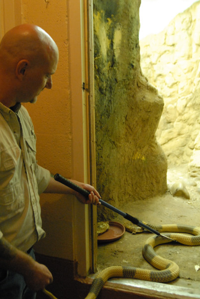 Chiricahua Desert Museum and ABQ Bio Park
