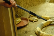 Chiricahua Desert Museum and ABQ Bio Park