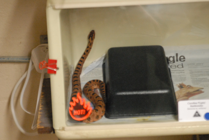Chiricahua Desert Museum and ABQ Bio Park