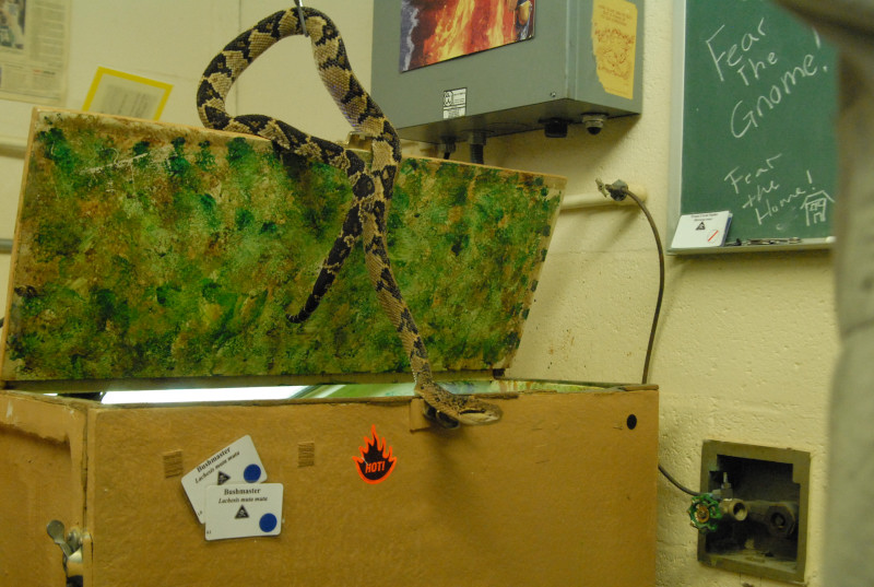 Chiricahua Desert Museum and ABQ Bio Park