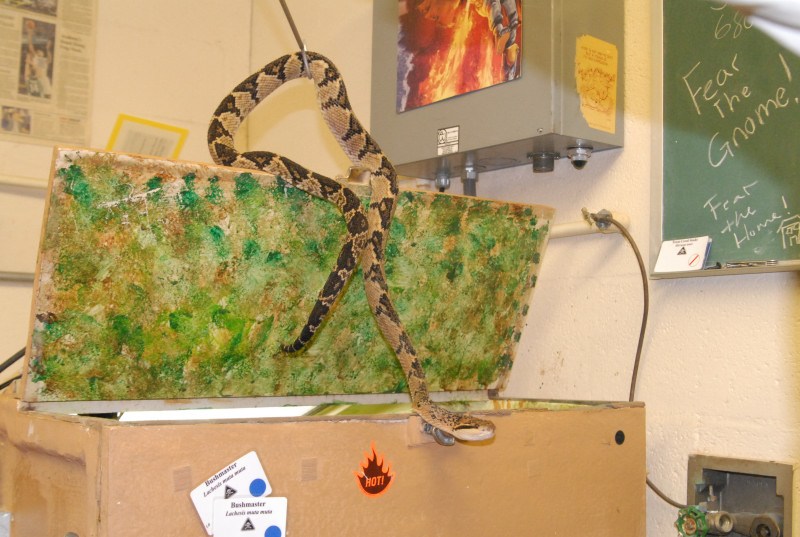 Chiricahua Desert Museum and ABQ Bio Park