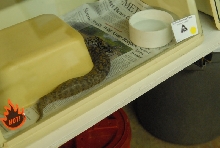 Chiricahua Desert Museum and ABQ Bio Park