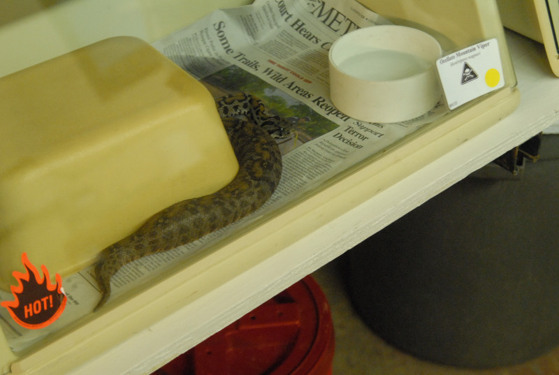 Chiricahua Desert Museum and ABQ Bio Park