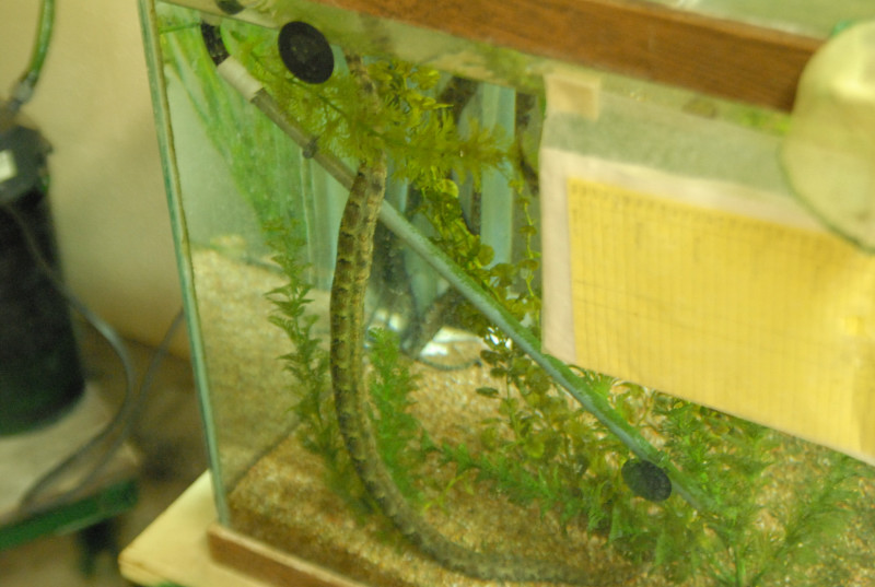 Chiricahua Desert Museum and ABQ Bio Park